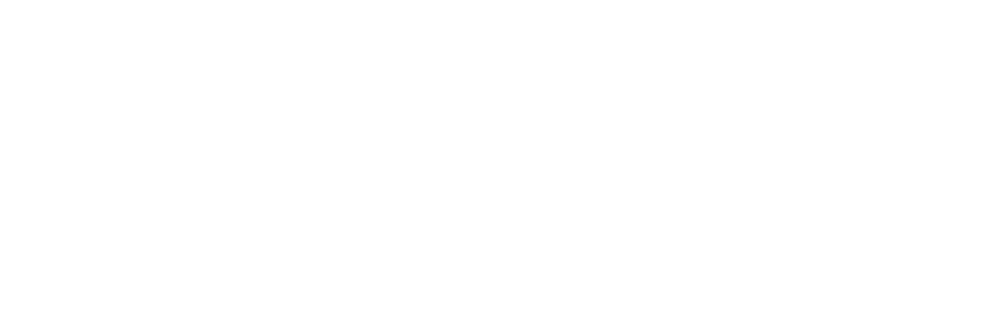 AIRIS logo